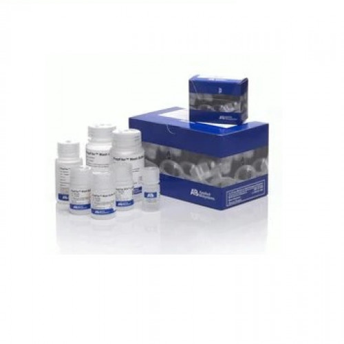 Applied Biosystems™ PrepFiler Express™ Forensic DNA Extraction Kit